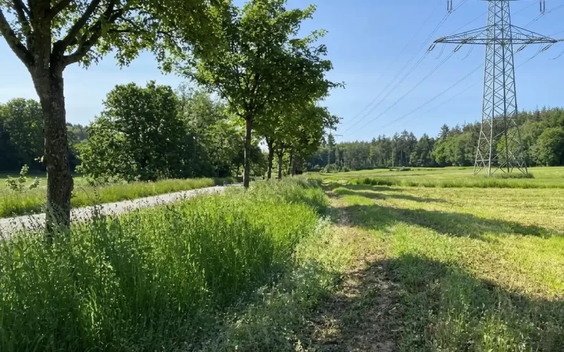 Rad-und-Gehwegverbindung ziwschen Brotdorf und Hausbach_5
